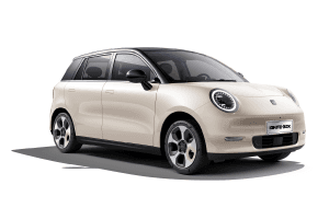 JAC IGNITE30X - imagen 1