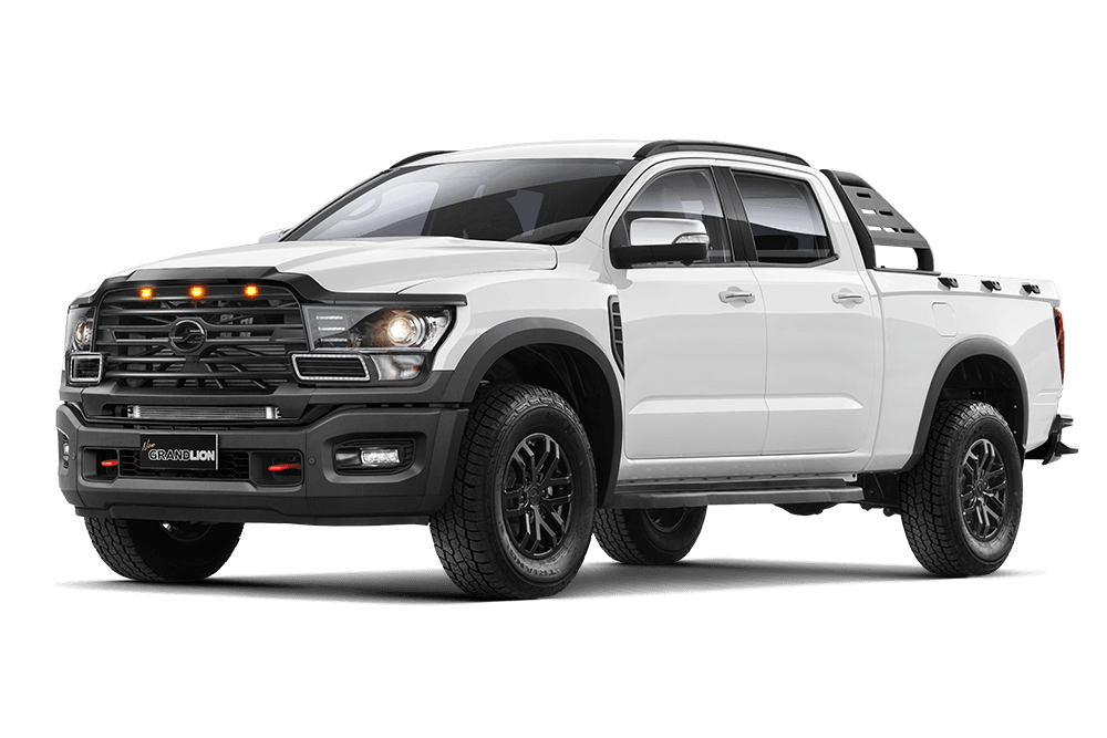 ZX NEW TERRALORD 24 4X2 MT - imagen 1